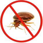 Bed bug control service in coimbatore