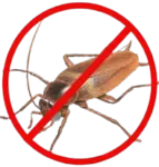 cockroach control service in coimbatore