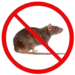 Rodent Control control service in coimbatore
