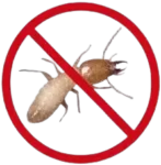 Termite control services in coimbatore