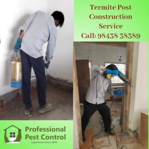 Rodent Control control service in coimbatore