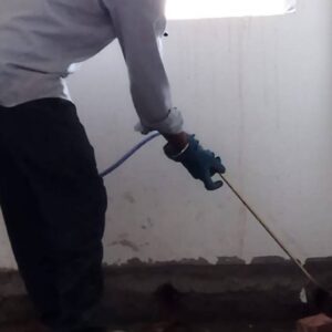 termite control work