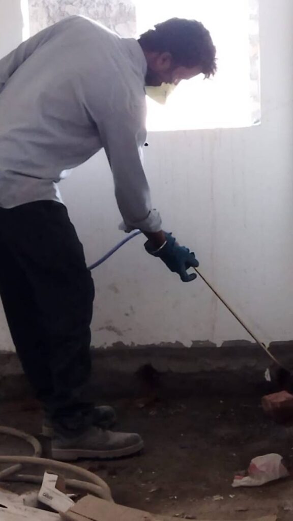 termite control work