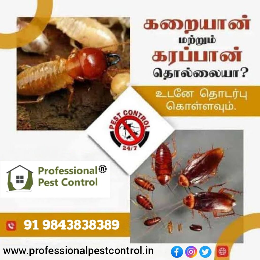 termite and cockroach services