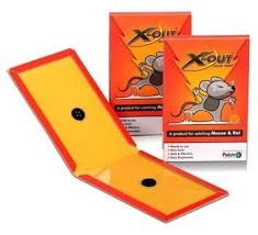 Rat glue pad for mouse and rat control